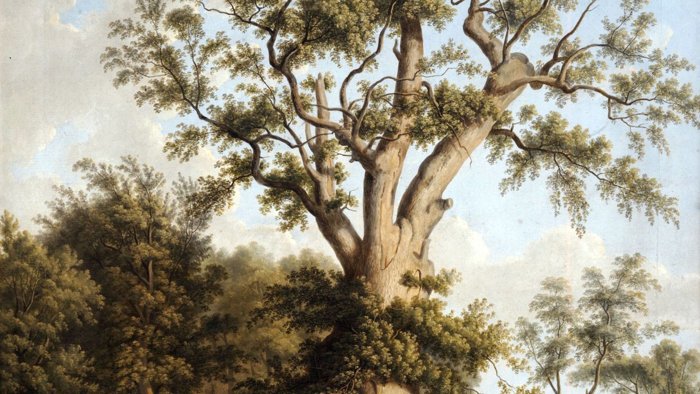 Ludwig Philipp Strack, Mansholter Eiche, 1832