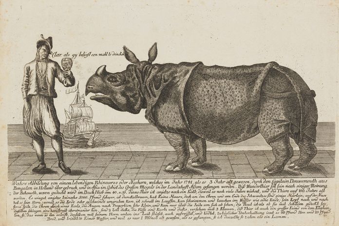 Rhinoceros und Mann