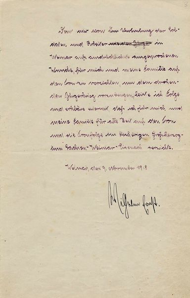 Unten auf dem Dokument sieht man die Unterschrift von Großherzog Wilhelm Ernst. 
