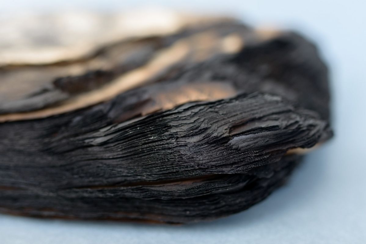 Bergungseinheit »Aschebuch«: Das Papier ist an den Rändern verkohlt und der Einband komplett zerstört. Foto: Candy Welz © Klassik Stiftung Weimar